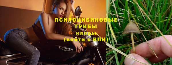 мяу мяу кристалл Арсеньев